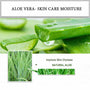 Aloe Vera Gel | Aloe Vera for Face